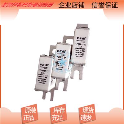 巴斯曼熔断器170M1367 170M1368