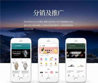 甘孜微商城推广 成都小程序中心