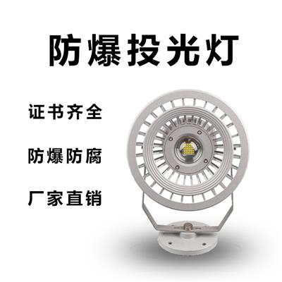 防爆投光灯