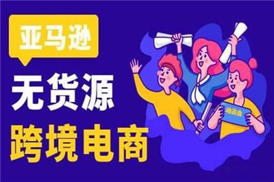 亚马逊入门 亚马逊跨境电商 做亚马逊无货源模式