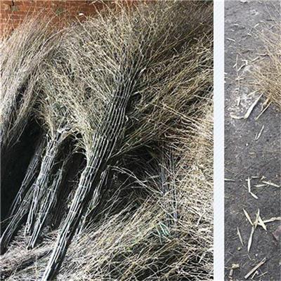 扫把 江西竹扫把批发 互利共赢