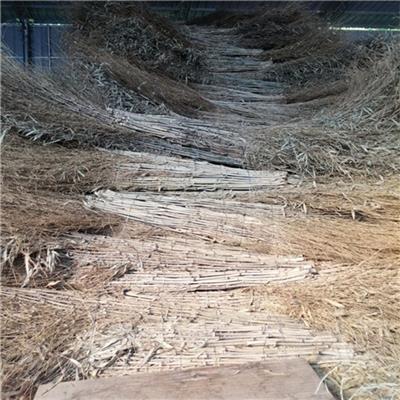 扫把 温岭市环卫扫把 增创效益