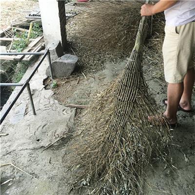 扫把 扫把用竹 批发代理