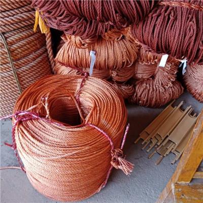 最新野猪供应行情野猪批发价格