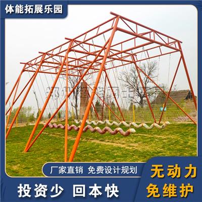 青少年网红长龙秋千直销厂家 花田网红项目