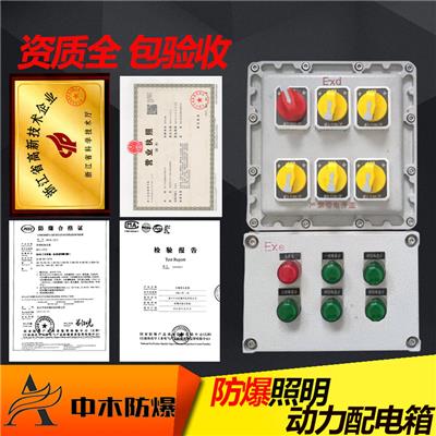 防爆配电箱照明动力箱300*400防爆接线箱不锈钢箱配电柜检修箱