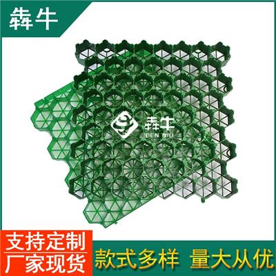 昭阳市花园护坡建筑工程花口植草格