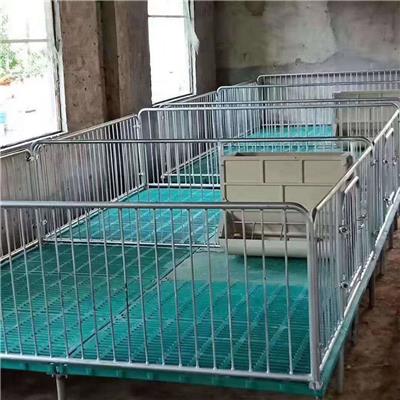 誉发畜牧加厚仔猪保育床全复合双体保育床母猪设备
