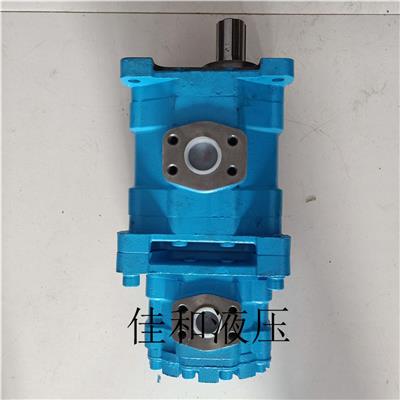 长江双联齿轮油泵 CBY3080/2016-2FR齿轮泵