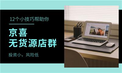 京喜店群，无货源模式