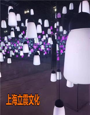 共振森林无限星空灯光秀设备租赁厂家制造