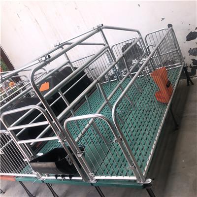 养猪设备母猪产床单体式母猪产床复合是母猪产床定位栏