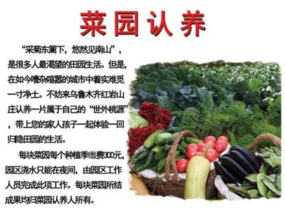 微信小程序开发工具 APP开发