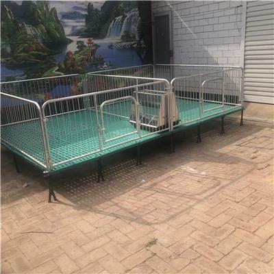 誉发畜牧养猪设备猪用定位栏限位栏热镀锌小猪用保育床