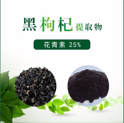 新天域生物 黑枸杞提取物 花青素25%