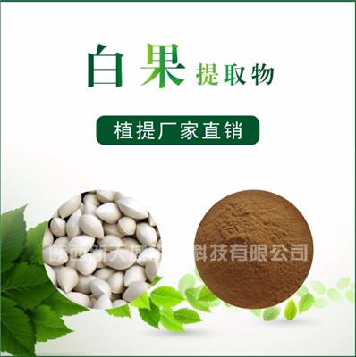 新天域生物 白果提取物