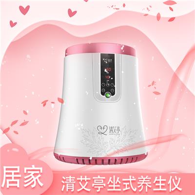 南欧电子清艾亭坐式智能温补养生仪