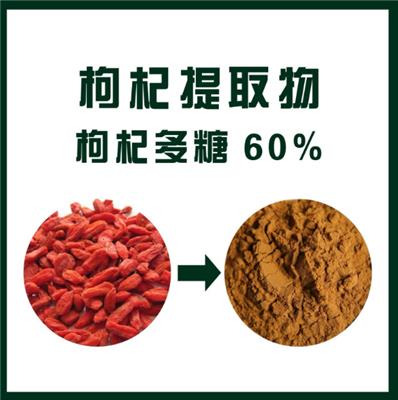 新天域生物 枸杞提取物 枸杞多糖60%