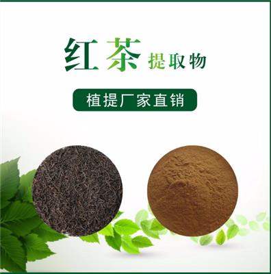 新天域生物 红茶提取物