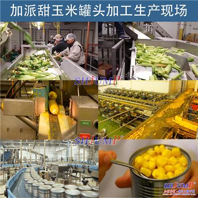 甜玉米罐头加工生产线 真空玉米棒加工生产线 玉米汁饮料产线