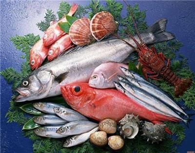 宁波进口海鲜报关行