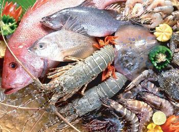 进口水产品报关