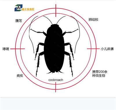 去除蟑螂的好方法 广元市苍溪县除蟑螂 灭蟑