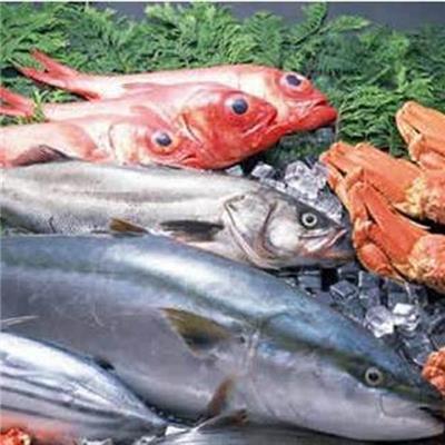 进口大眼鲷鱼需要的手续资料