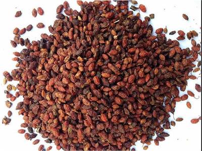 沙棘进口报关公司