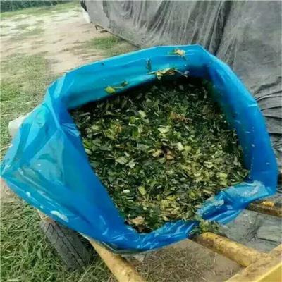 大连压块机批发