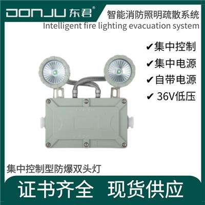 东君防爆双头灯3W智能A型DJ-02I
