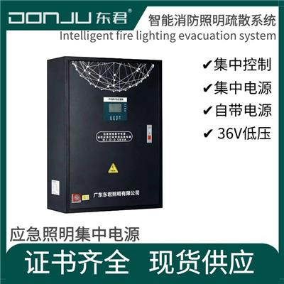 东君智能EPS应急集中电源A型DJ-D