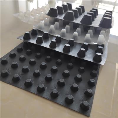 高塑料凸片排水板塑料排水板塑料排水板凸点向上排水板厂家排水板厂家