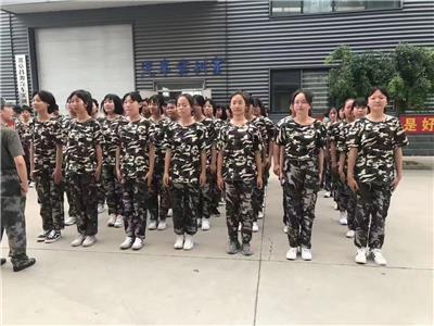 保定动力学校-保定动力工程学校小学教育招生计划-保定技校招生网址