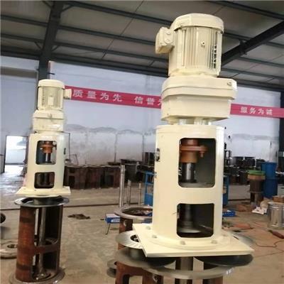 石灰石浆液池搅拌机脱硫母液罐搅拌设备定制赛鼎非标钛材搅拌器厂家
