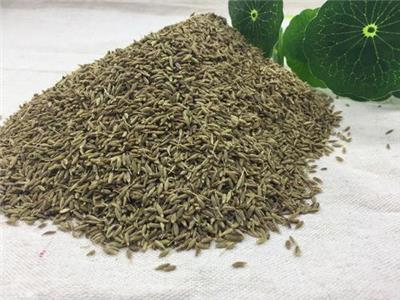 上海 胡椒 进口清关公司 香料进口