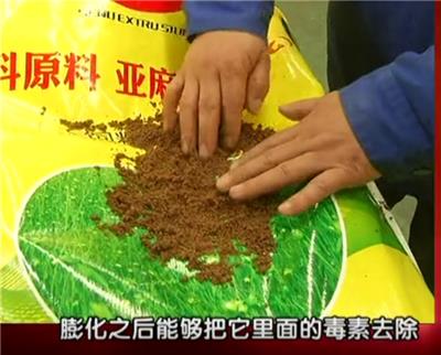 膨化亚麻籽