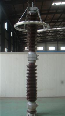 南阳金冠 220kV 陶瓷外套避雷器Y10W-192/500 Y10W-200/520 Y10W-204/532 Y10W-216/266避雷器 电站用过电压保护装置 站用座式