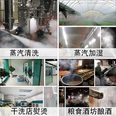 燃油燃气蒸汽发生器 服装熨烫洗涤蒸汽机 工业商用锅炉