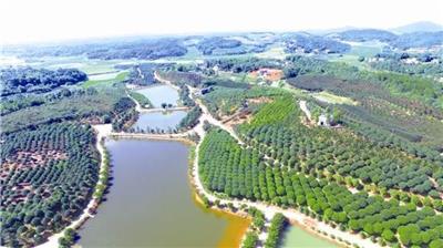 河南安阳农业设计公司 休闲农业园区规划设计的5个原则