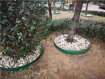 梅州不锈钢隔离条 草石隔离带园建绿化隔离带施工