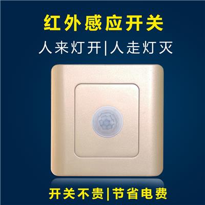 楼道，走道自动感应开关|微波红外感应开关厂家