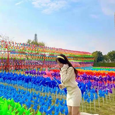 春季户外活动可以选择风车节出租出售**全国风车节租赁