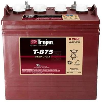 美国邱健蓄电池T-890升降机平台8V190AH游艇船舶/洗地机/休闲观光车/扫地机