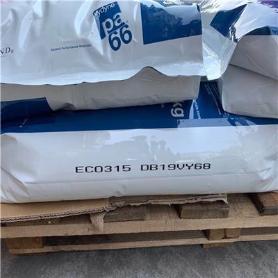 PA66瑞士EMS代理商