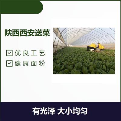 西安食材采购 口味清爽 富含丰富的碳水