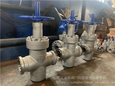 CHVJ 沧海阀门卡箍闸阀 Z83Y-250 DN125 配套卡箍闸阀 采油树