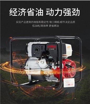 大泽动力2寸汽油水泵
