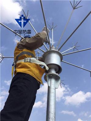 无源电晕场驱雷器 基站铁搭建筑防雷器 高压防雷器 雷电预警器