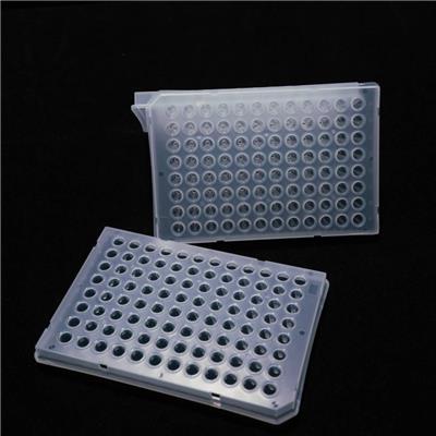 edo 0.2mlPCR板 透明 带印刷 1352017聚丙烯 PP 96孔板 核酸提取仪通用适配